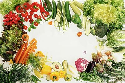 农产品图片全景 蔬菜的世界