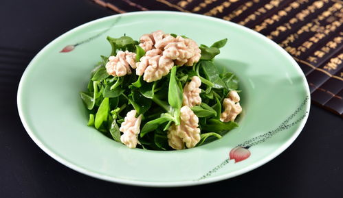 无花果 食品与花卉之间的独特魅力