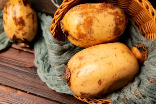 莲藕 玉藕玲珑，节日佳肴与苗木之美