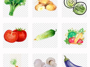 手绘新鲜蔬菜水彩免扣素材 生活与工作的创意利器