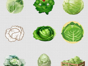 绿色健康生活 蔬菜图库素材大全与实用指南