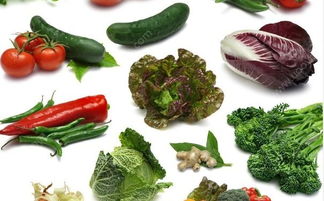 富含叶酸的蔬菜与花卉 营养与美观并重