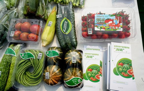 北京市优质农产品拥有数字身份证 茶叶种植的质量安全新保障