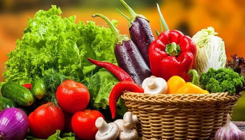 垃圾分类新潮流 苗木废弃物如何处理？生活垃圾分类实用小妙招