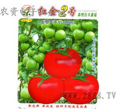 生机勃勃的后院 瓜果蔬菜种子与苗木选购指南