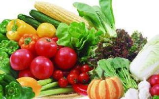 山西科普惠农特色优质农产品展销会盛大开幕，花卉产业绽放异彩