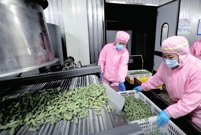 资本入局，电商焕新 生态循环农业与农村电商共绘乡村振兴新图景