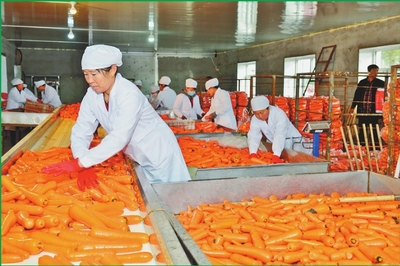 从沃土到市场 双鸭山苗木产业如何实现“种得好”与“卖得好”的共赢